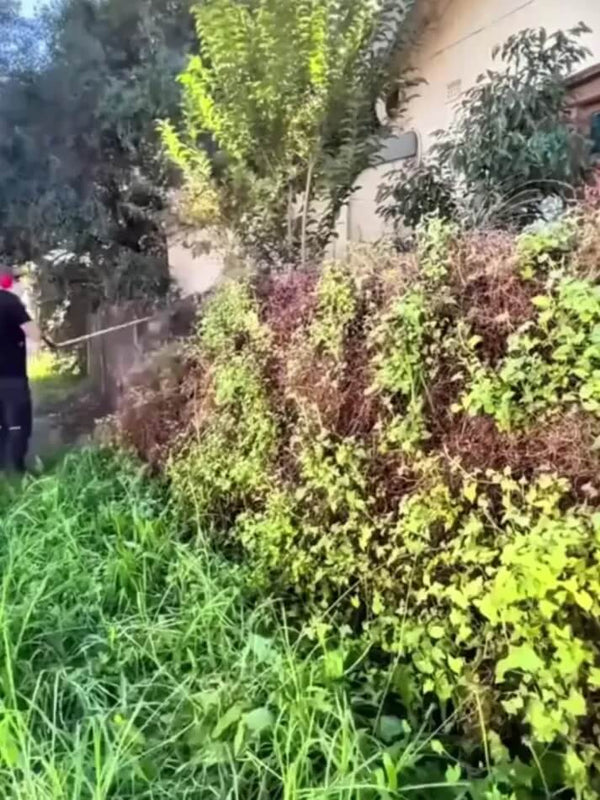 Instant Weeding Trimmer Head - Fast & Easy Weed Removal Tool