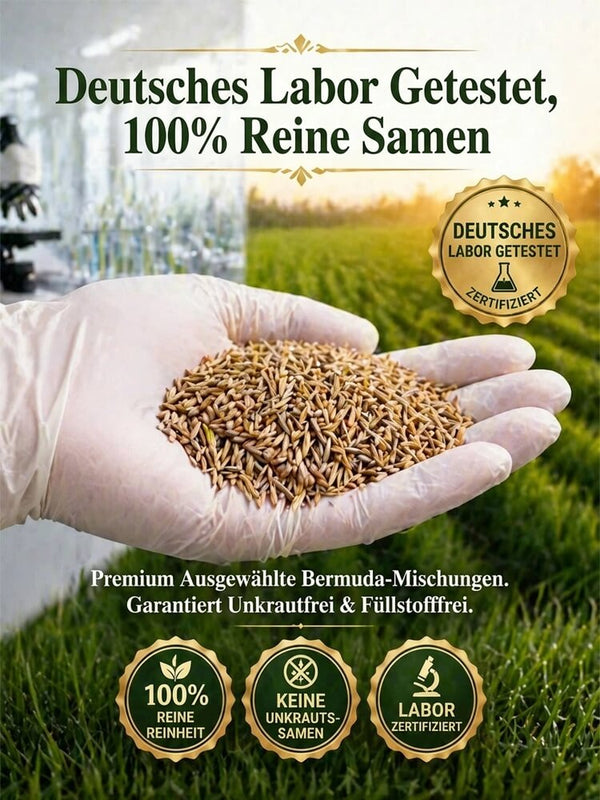 JS Grass Seeds - Fast Germination Mixed Lawn Seed Varieties (99% Germination in 7 Days)