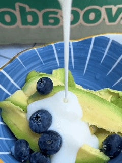 Mexican Avocado Sapling Variety - Fast-Fruiting Grafted Tree