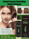 Rosemary Hair Growth Shampoo - Doctor-Recommended Scalp & Hair Care Formula