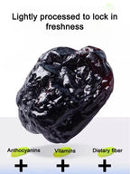 Sugar-Free Blueberry Dried Fruit - Premium Chilean Healthy Snack for Vision & Wellness