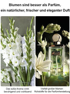 300-Day Blooming Fragrant Flower Plant - Natural Air Purifier & Long-Lasting Floral Fragrance