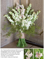 300-Day Blooming Fragrant Flower Plant - Natural Air Purifier & Long-Lasting Floral Fragrance
