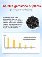 Sugar-Free Blueberry Dried Fruit - Premium Chilean Healthy Snack for Vision & Wellness