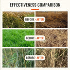 Glufosinate-Ammonium Herbicide for Orchard Weed Control