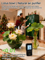 【Beginner-Friendly】Hydroponic Lotus Seeds, Effortless Elegance: Water-Only Lotus Blooms!