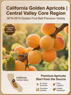 California Giant Dried Apricots - Egg-Sized Natural Fiber-Rich Healthy Snack