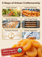 California Giant Dried Apricots - Egg-Sized Natural Fiber-Rich Healthy Snack