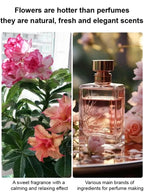 Desert Rose Bulb Flower – “Just Water To Thrive For 100 Years”