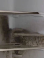 EPA Certified Mold Remover - Long-Lasting Mold & Odor Protection Spray