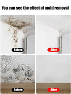EPA Certified Mold Remover - Long-Lasting Mold & Odor Protection Spray