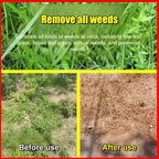 Fast-Acting Weed Killer - Agricultural & Environment Approved Herbicide (Replant in 2 Days)