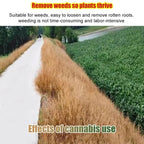 Fast-Acting Weed Killer - Agricultural & Environment Approved Herbicide (Replant in 2 Days)