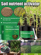 German Soil Nutrient Activator - Long-Lasting Plant Growth & Soil Enhancement Formula