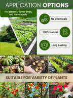 German Soil Nutrient Activator - Long-Lasting Plant Growth & Soil Enhancement Formula