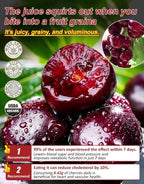 Giant Chilean Ruby Cherry Seeds - High Germination Multi-Variety Home Orchard Mix