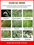 Glufosinate Orchard Herbicide - Fast-Acting Weed Killer with 99% Weed Control Rate