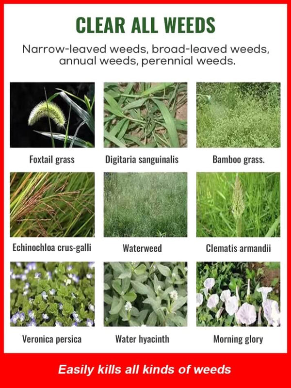 Glufosinate Orchard Herbicide - Fast-Acting Weed Killer with 99% Weed Control Rate