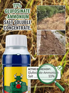 Glufosinate Orchard Herbicide - Fast-Acting Weed Killer with 99% Weed Control Rate