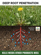 Glufosinate Orchard Herbicide - Fast-Acting Weed Killer with 99% Weed Control Rate
