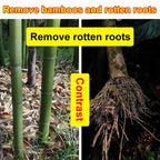 【Hexazinone Herbicide】Doesn't Harm Soil, No Tools Needed
