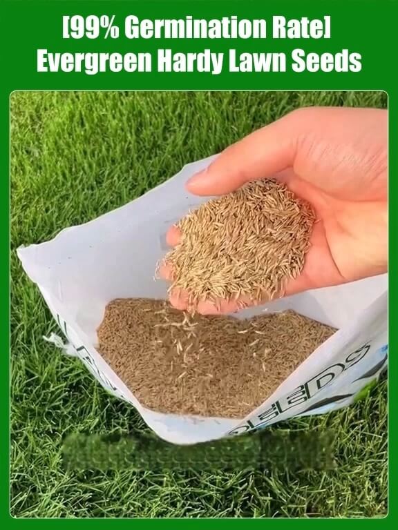 High-Density Repair Grass Seed - Dutch Technology Fast Germination Lawn Seed (7-Day Growth, 99% Germination Rate)