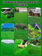 High-Density Repair Grass Seed - Dutch Technology Fast Germination Lawn Seed (7-Day Growth, 99% Germination Rate)