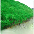 High-Density Repair Grass Seed - Dutch Technology Fast Germination Lawn Seed (7-Day Growth, 99% Germination Rate)