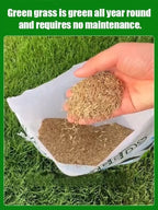 High-Density Repair Grass Seeds - Dutch Technology Fast Germination Lawn Seed (7-Day Growth)