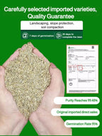 High-Density Repair Grass Seeds - Dutch Technology Fast Germination Lawn Seed (7-Day Growth)