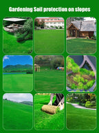 High-Density Repair Grass Seeds - Dutch Technology Fast Germination Lawn Seed (7-Day Growth)