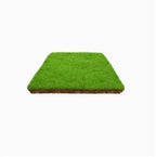 High-Density Repair Grass Seeds - Dutch Technology Fast Germination Lawn Seed (7-Day Growth)