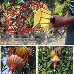 High-Reach Fruit Picker - Telescopic Harvesting Tool for Tall Trees & Hard-to-Reach Fruit