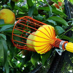 High-Reach Fruit Picker - Telescopic Harvesting Tool for Tall Trees & Hard-to-Reach Fruit