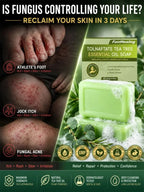 High-Strength Tea Tree Oil - Targets Fungal Biofilm & Drug Resistance