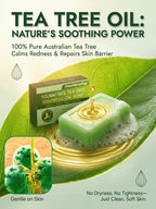 High-Strength Tea Tree Oil - Targets Fungal Biofilm & Drug Resistance