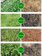Hohenheim Agrar Weed Control Formula - TÜV-Tested Long-Lasting Annual Weed Protection Solution