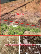 Hohenheim Agrar Weed Control Formula - TÜV-Tested Long-Lasting Annual Weed Protection Solution