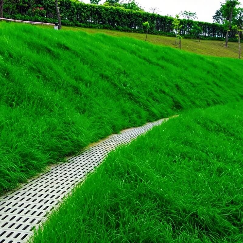 JS Grass Seeds - Fast Germination Mixed Lawn Seed Varieties (99% Germination in 7 Days)