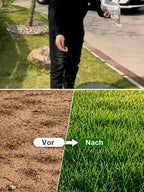 JS Grass Seeds - Fast Germination Mixed Lawn Seed Varieties (99% Germination in 7 Days)
