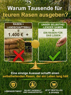 JS Grass Seeds - Fast Germination Mixed Lawn Seed Varieties (99% Germination in 7 Days)