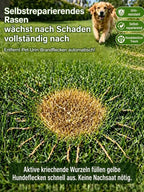 JS Grass Seeds - Fast Germination Mixed Lawn Seed Varieties (99% Germination in 7 Days)