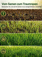 JS Grass Seeds - Fast Germination Mixed Lawn Seed Varieties (99% Germination in 7 Days)