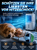 Mini Air Conditioner – Portable Rapid Cooling