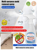 Mold Removal Cleaner - Eliminates Years of Mold in Seconds