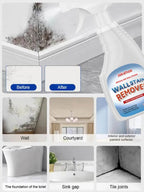 Mold Removal Cleaner - Eliminates Years of Mold in Seconds