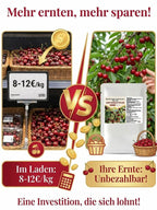 Organic Cherry Fertilizer - Growth-Promoting Plant Nutrient Formula for Healthier Trees & Higher Yields