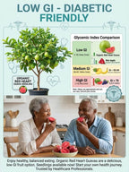 Organic Red Guava Saplings - Vitamin C Rich Fast-Fruiting Home Garden Fruit Trees