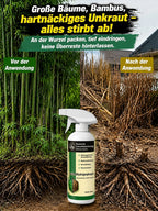 Organic Weed Killer – Root-Killing Formula