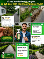 Organic Weed Killer – Root-Killing Formula
